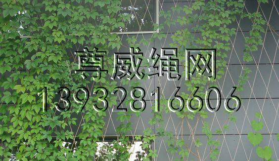 不銹鋼繩網