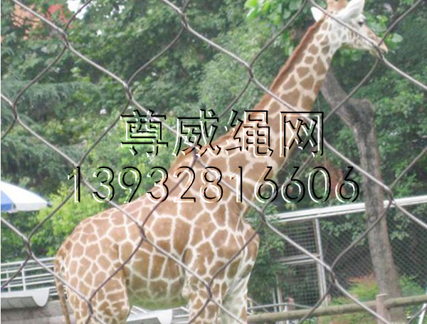 不銹鋼繩網