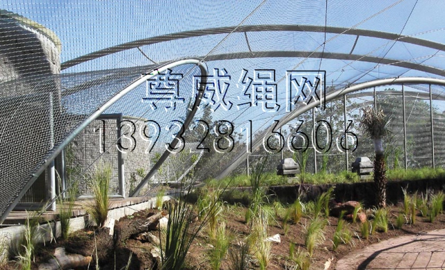 鳥語(yǔ)林專用繩網(wǎng)